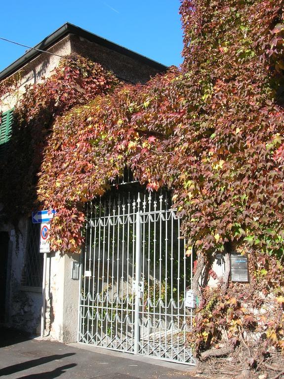 B&B Leon D'Oro Pusiano Værelse billede